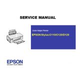 Инструкция по эксплуатации EPSON Stylus C110 120/D120 (англ.яз.)