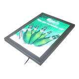 A4 (11.7" x 8.3") Round Corner LED Slim Light Box (With Printing)