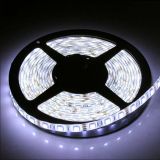 5M Waterproof IP64 300 LED Strip Light 2835 SMD String Ribbon Tape Roll 12VDC