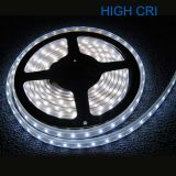 High CRI Super Brightness White Light 5M Waterproof IP68 300 LED Strip Light 2835 SMD String Ribbon Tape Roll 12VDC