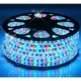 AC110V/220V 60 LEDs/M SMD 3528 Colorful 100m High Voltage LED Strip Waterproof