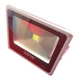 Наружный COB LED прожектор (30Вт, IP65)