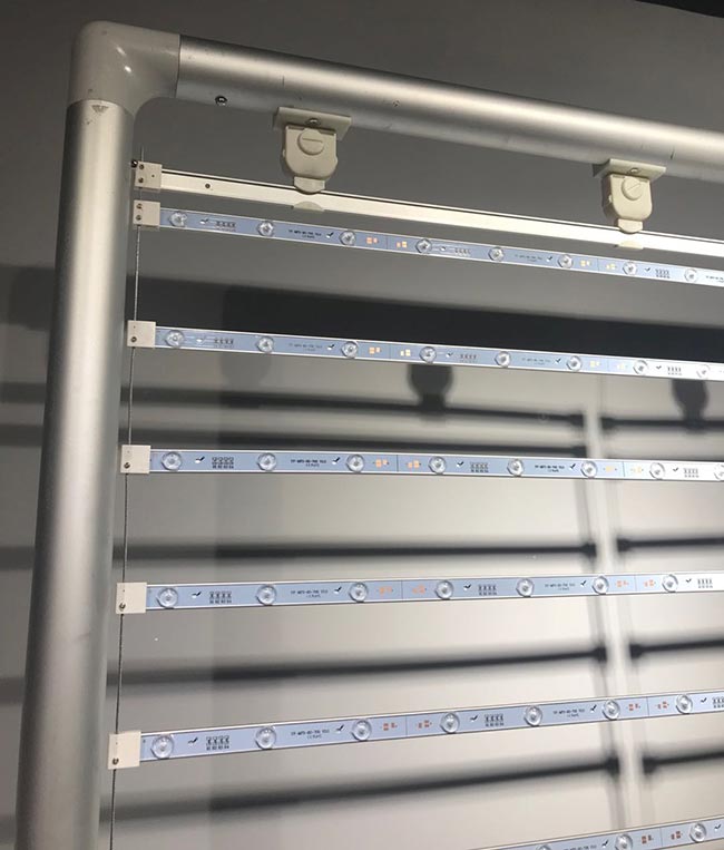 EZ Tube Lightbox
