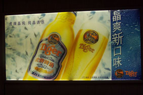 (610gsm-1000*1000-20*20) Matte Coated Backlit 40.1