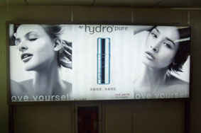 (610gsm-300*500-18*12) Glossy Laminated Backlit(Green-white) 110.2